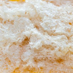 Chân yến tinh chế 100gr