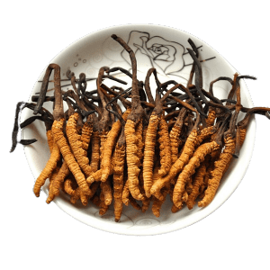 Đông trùng hạ thảo